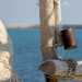 ...e posacenere creati riutilizzando alcuni barattoli lasciati in omaggio dal mare